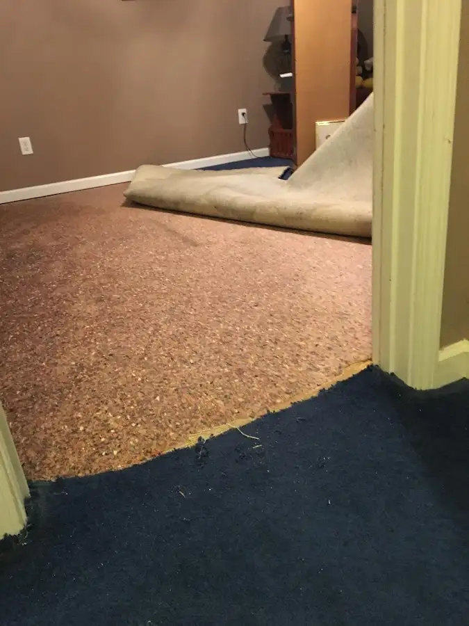 Carpet pad removal revealing water damage during Drying & Dehumidification in Viera East