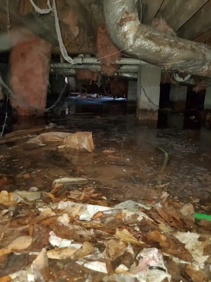 Crawl space flood assessment for Leak Detection & Repair in Viera East